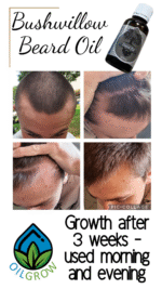 Bushwillow Beard Oil