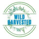 indigenous
