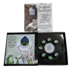 Spring Clean box