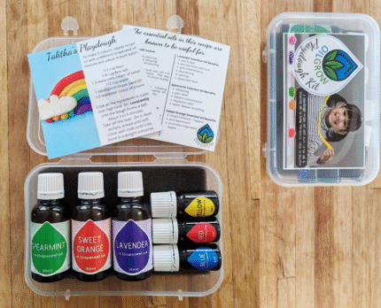Playdough Kit