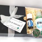 Car kit travel pack