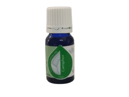 Camphor
