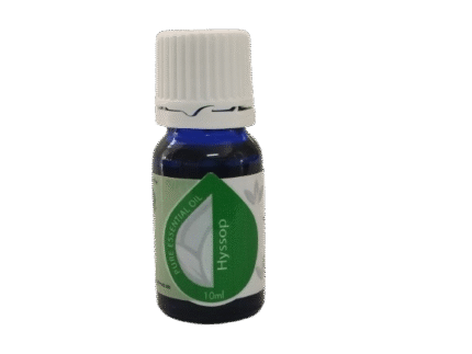 Hyssop