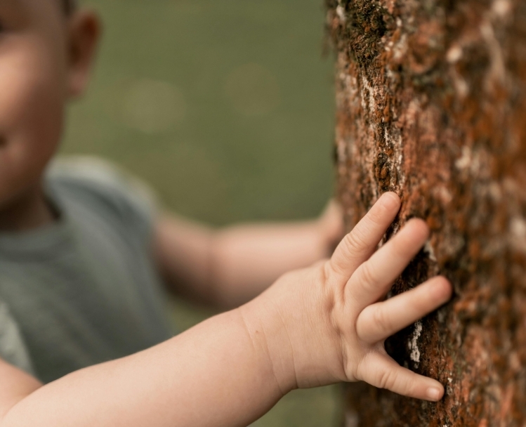 Develop your child's senses